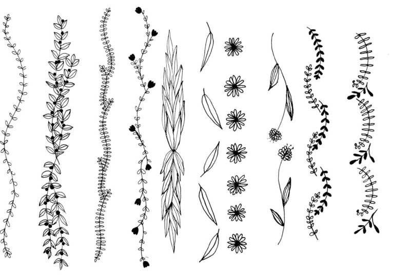 Botanical Borders & Frame Designs