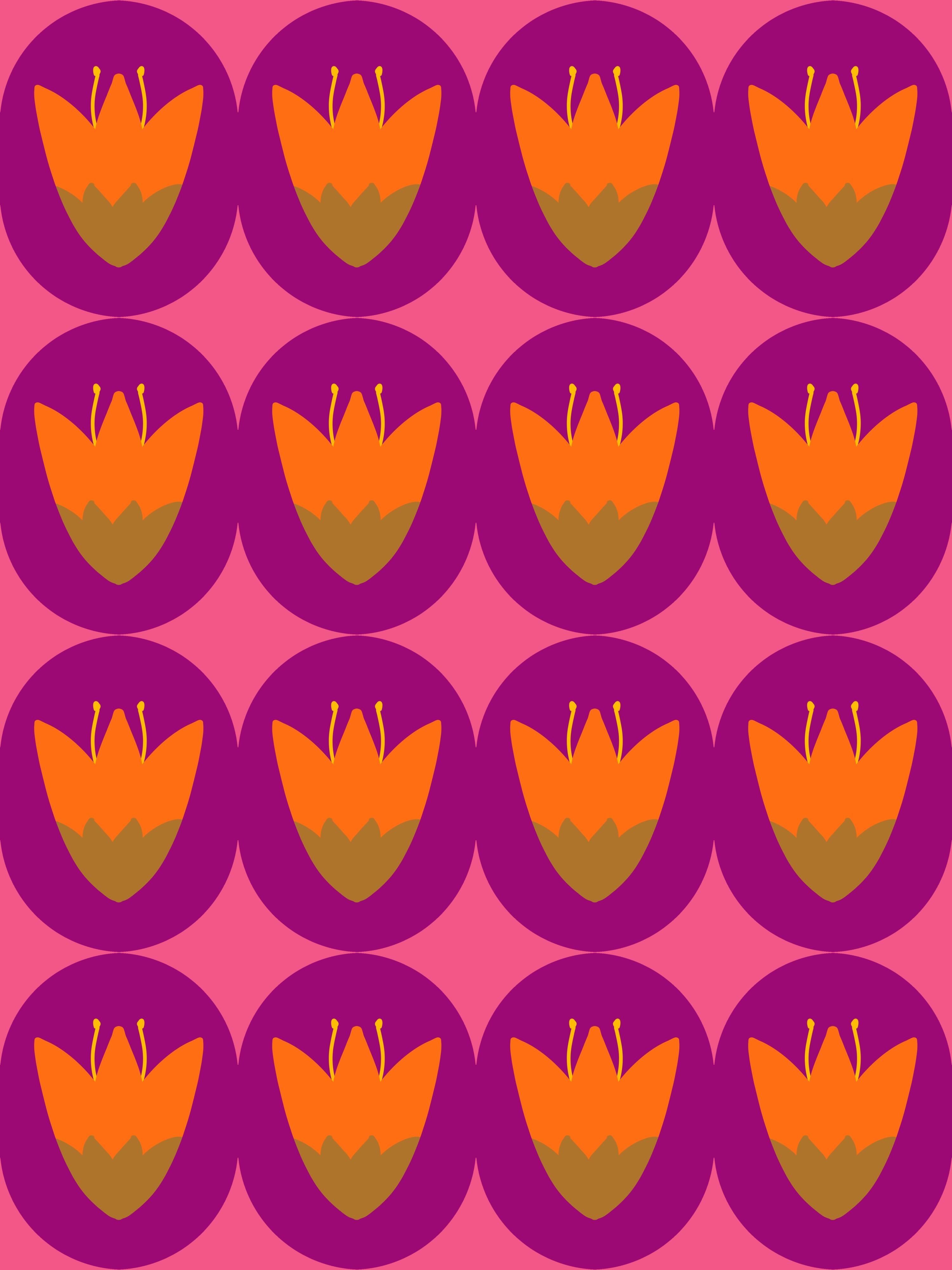 more-projects-from-class-img