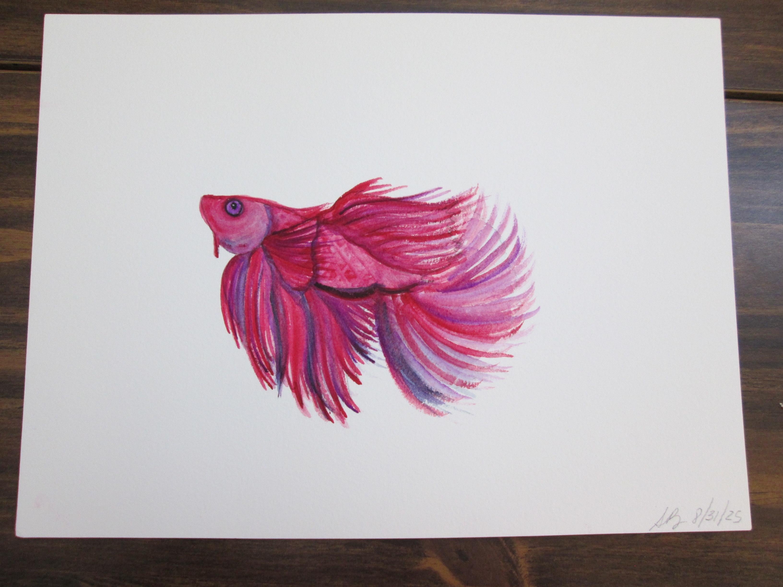 Watercolor Betta Fish - student project