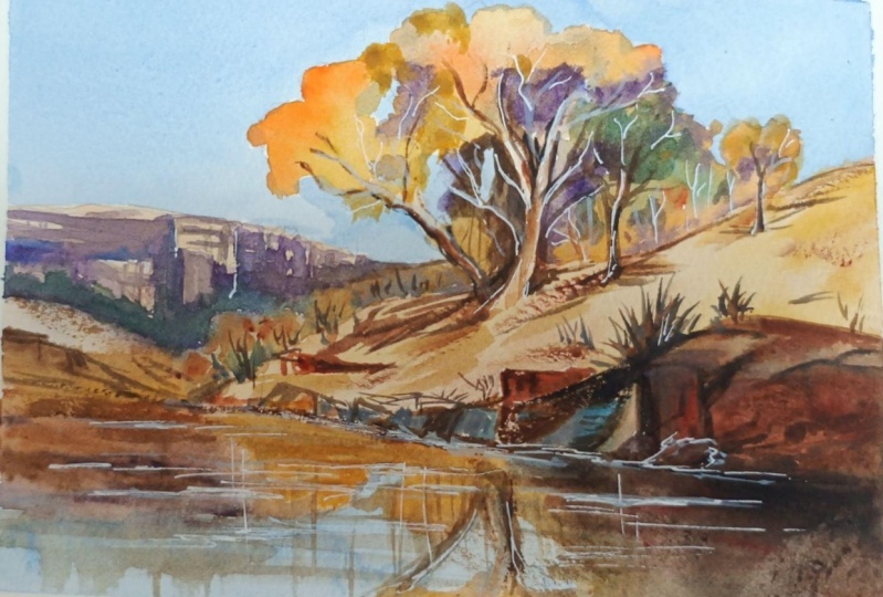 Tranquil landscape + Forest bridge