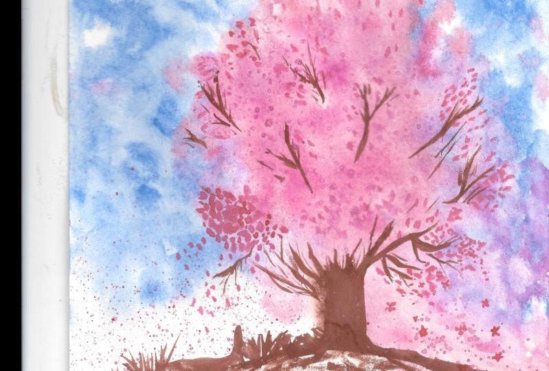 Cherry Blossom Tree