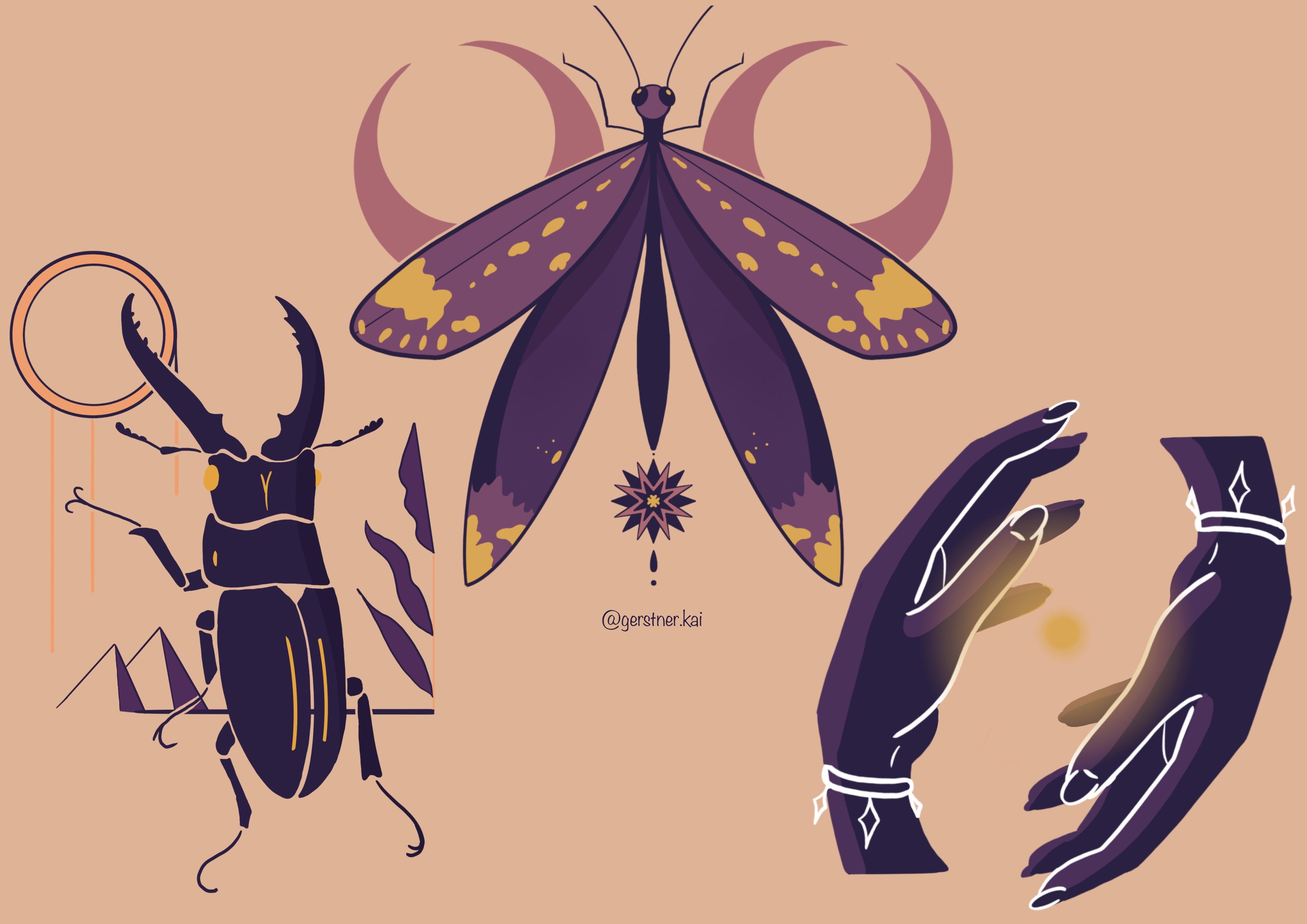 more-projects-from-class-img