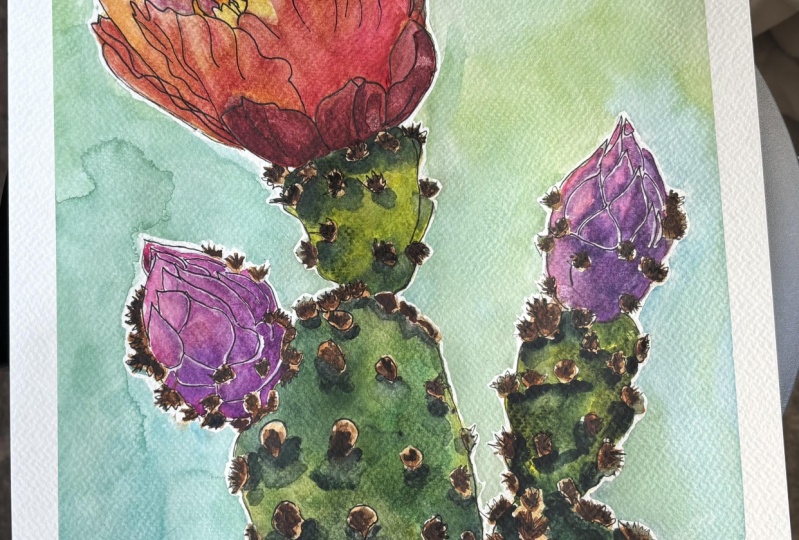 Opuntia