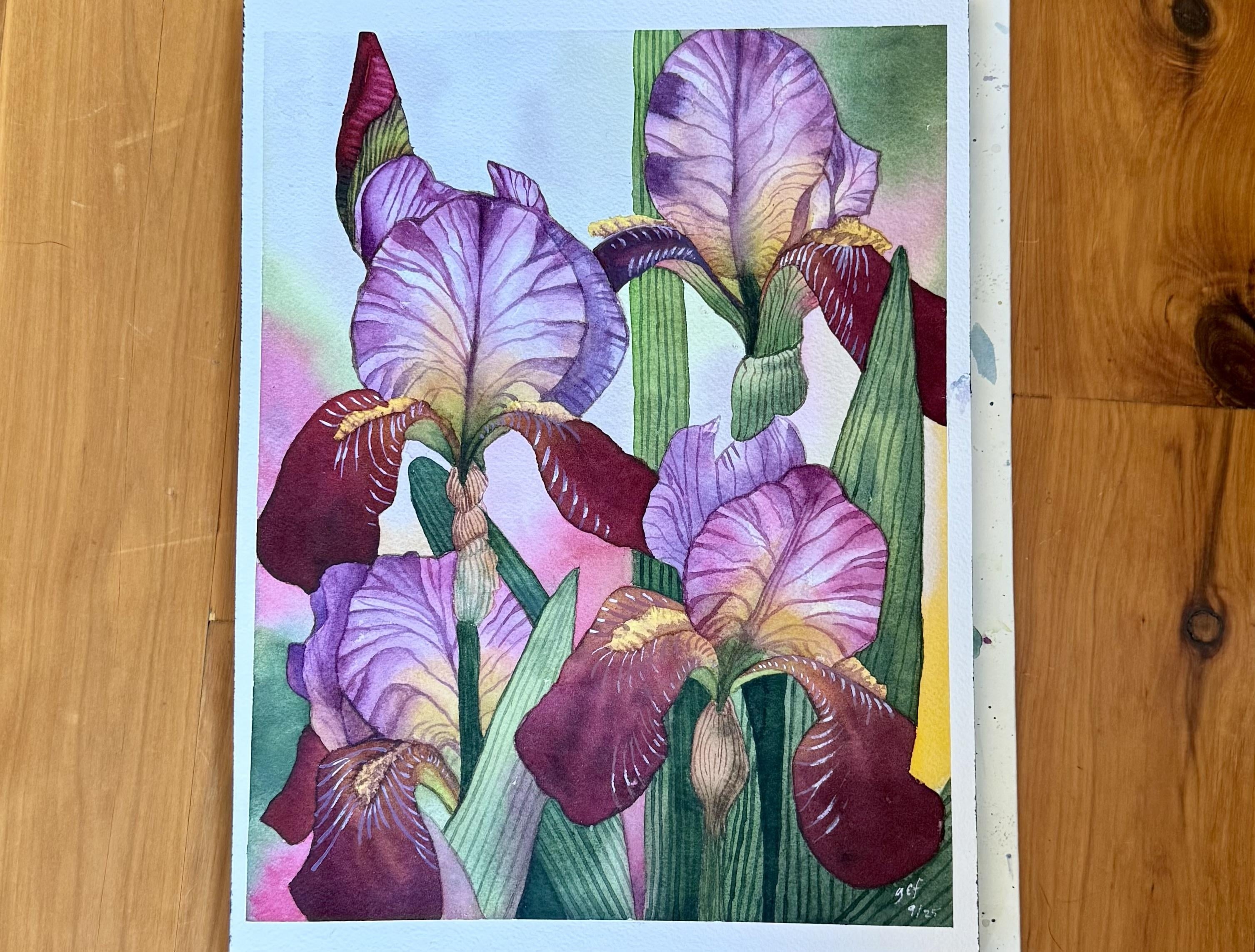 Colorful Irises - student project