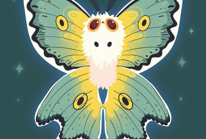 Kawaii moth
