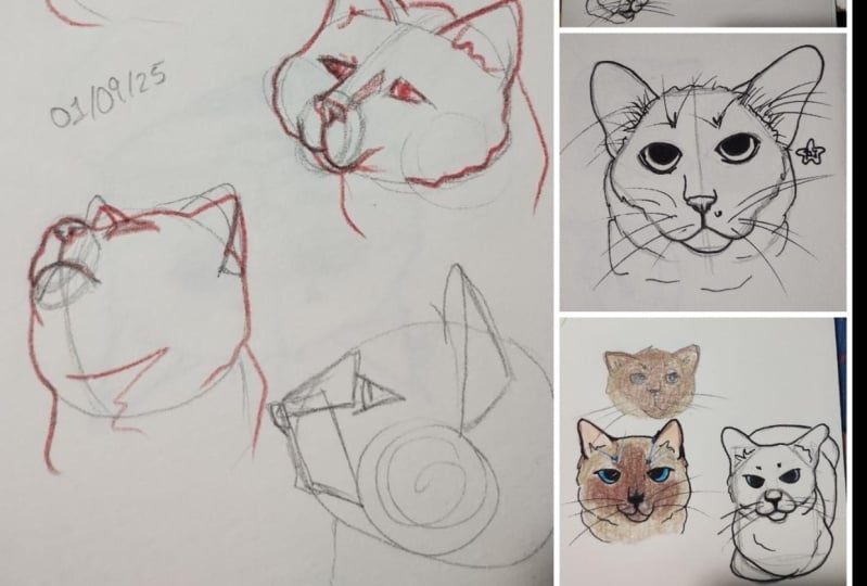 gatitos