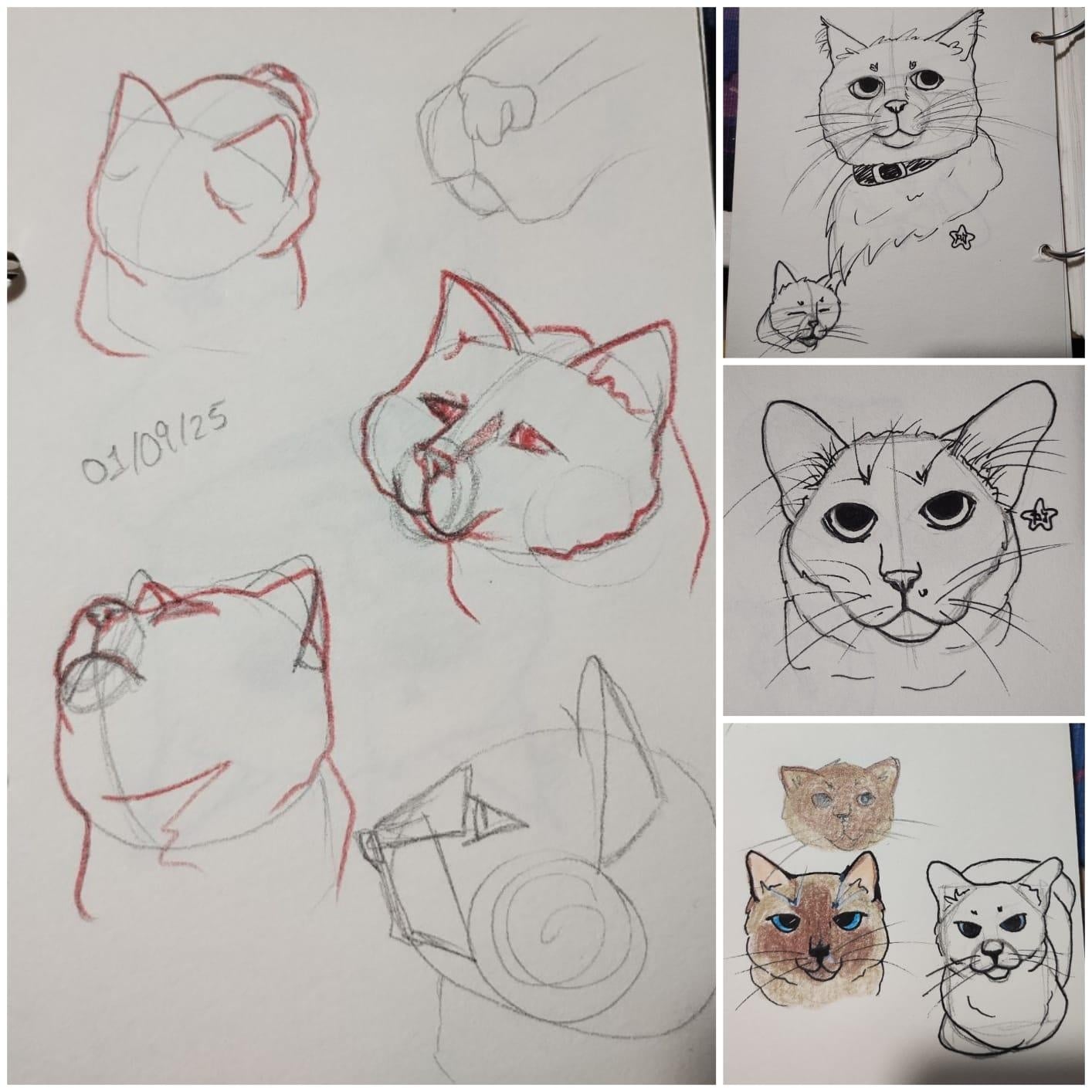 more-projects-from-class-img