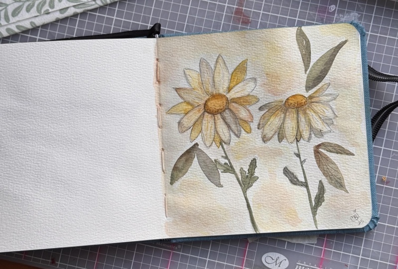 Daisy Practice