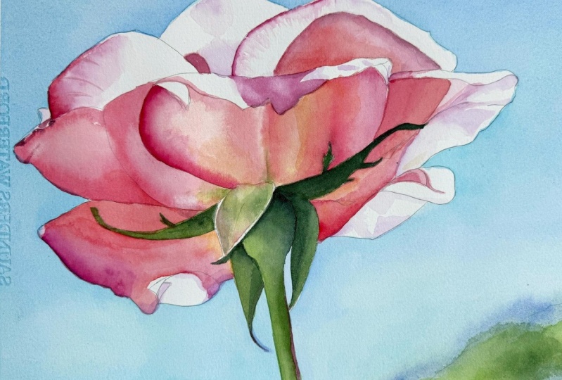 Easy Watercolor Rose
