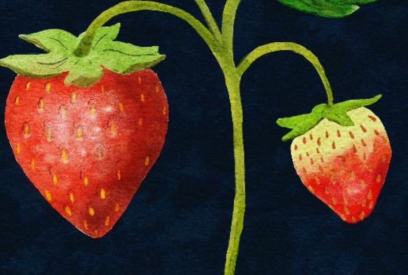 Ripe and unripe