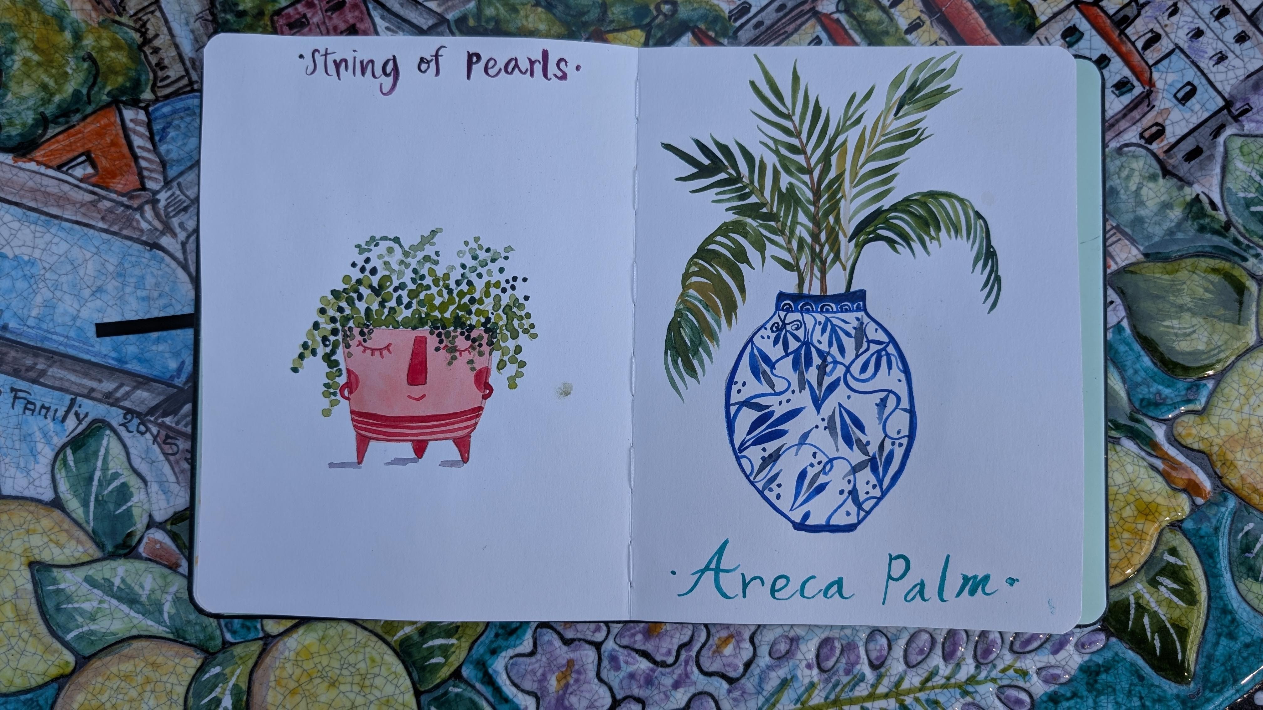 more-projects-from-class-img