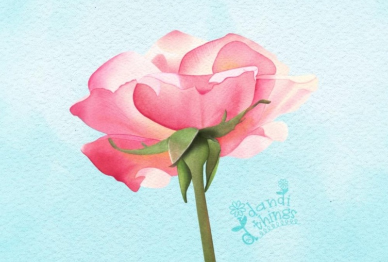 A Watercolor Rose Adapted For Procreate