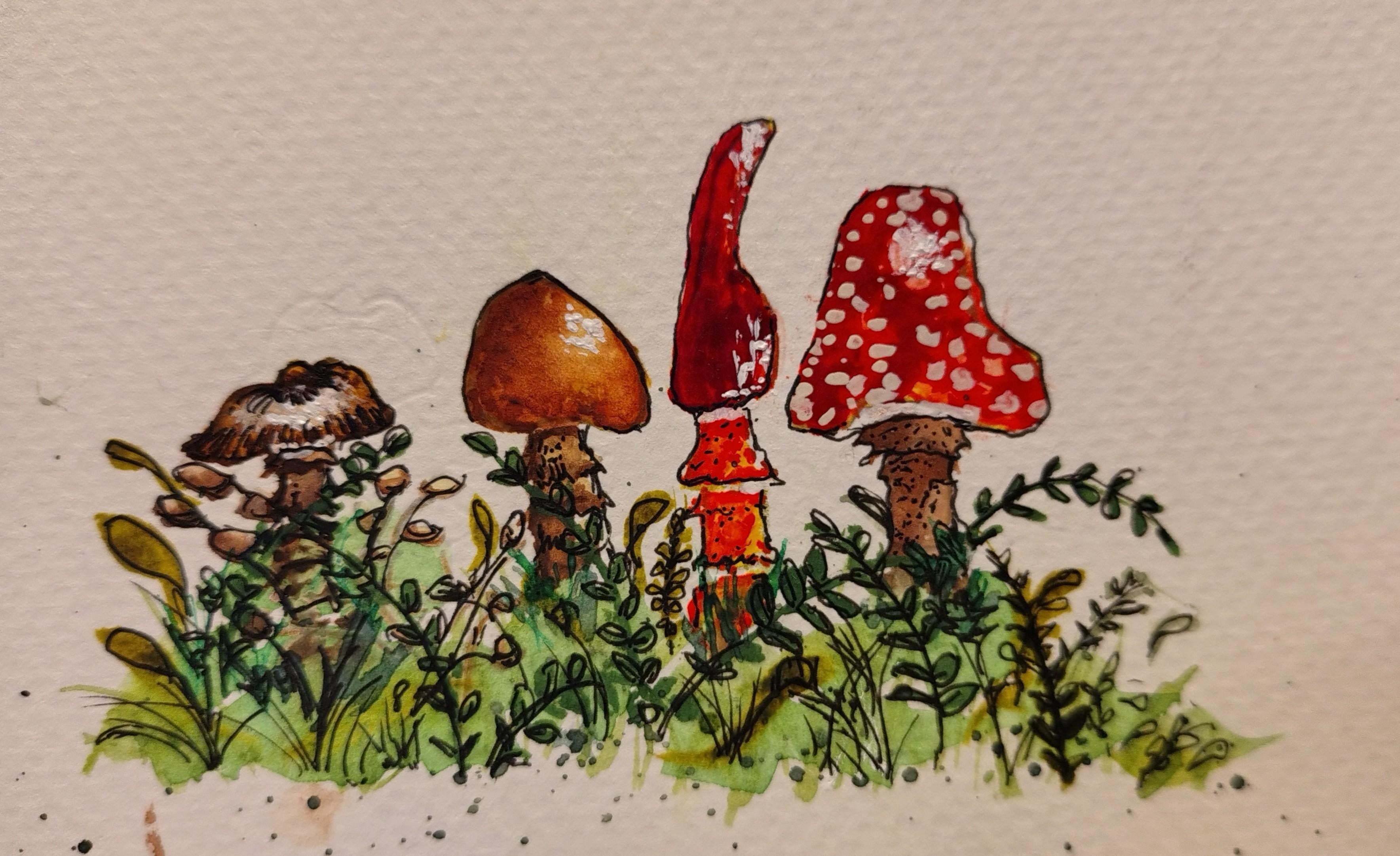 Popping Mushrooms - student project