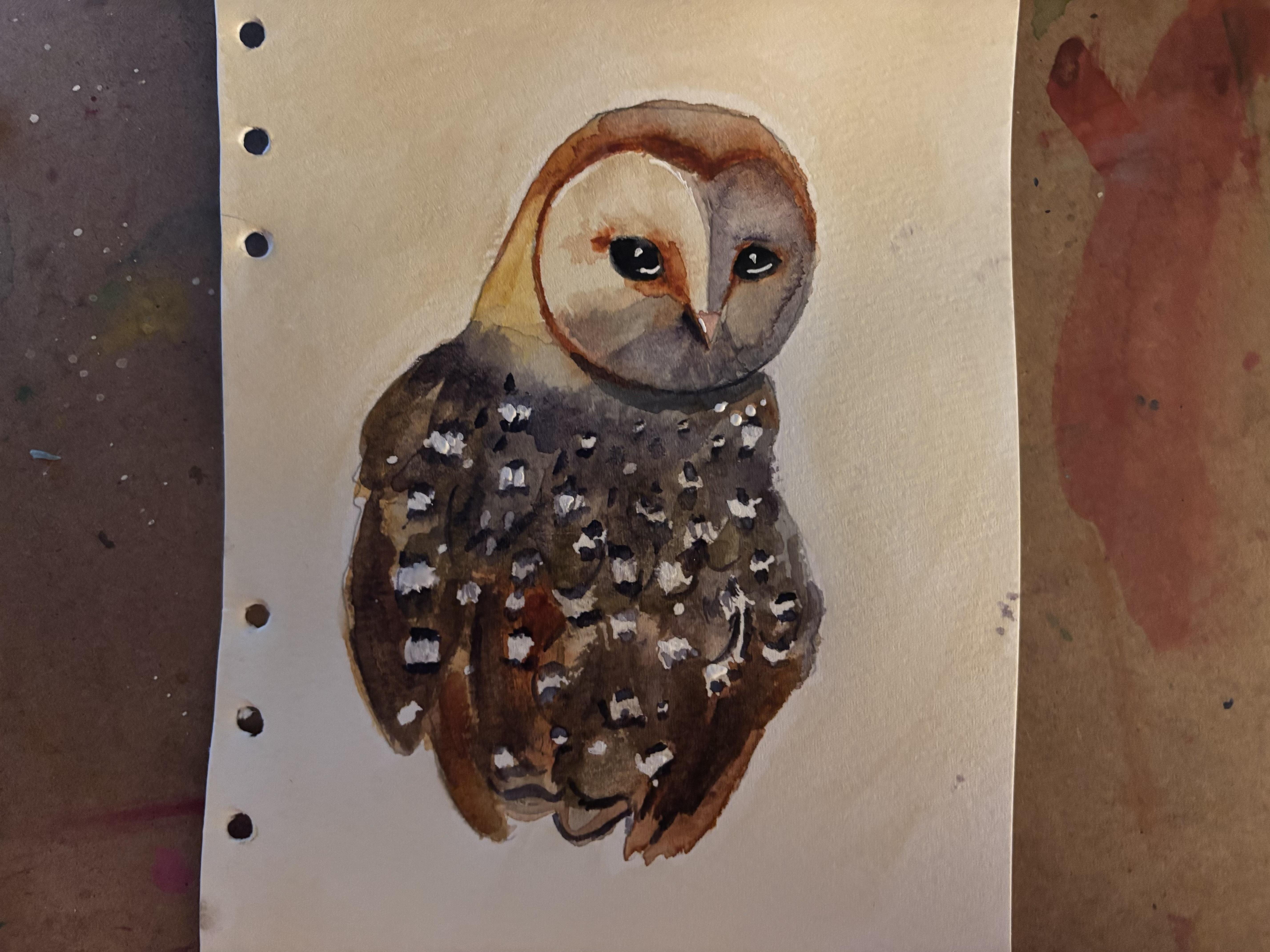 more-projects-from-class-img