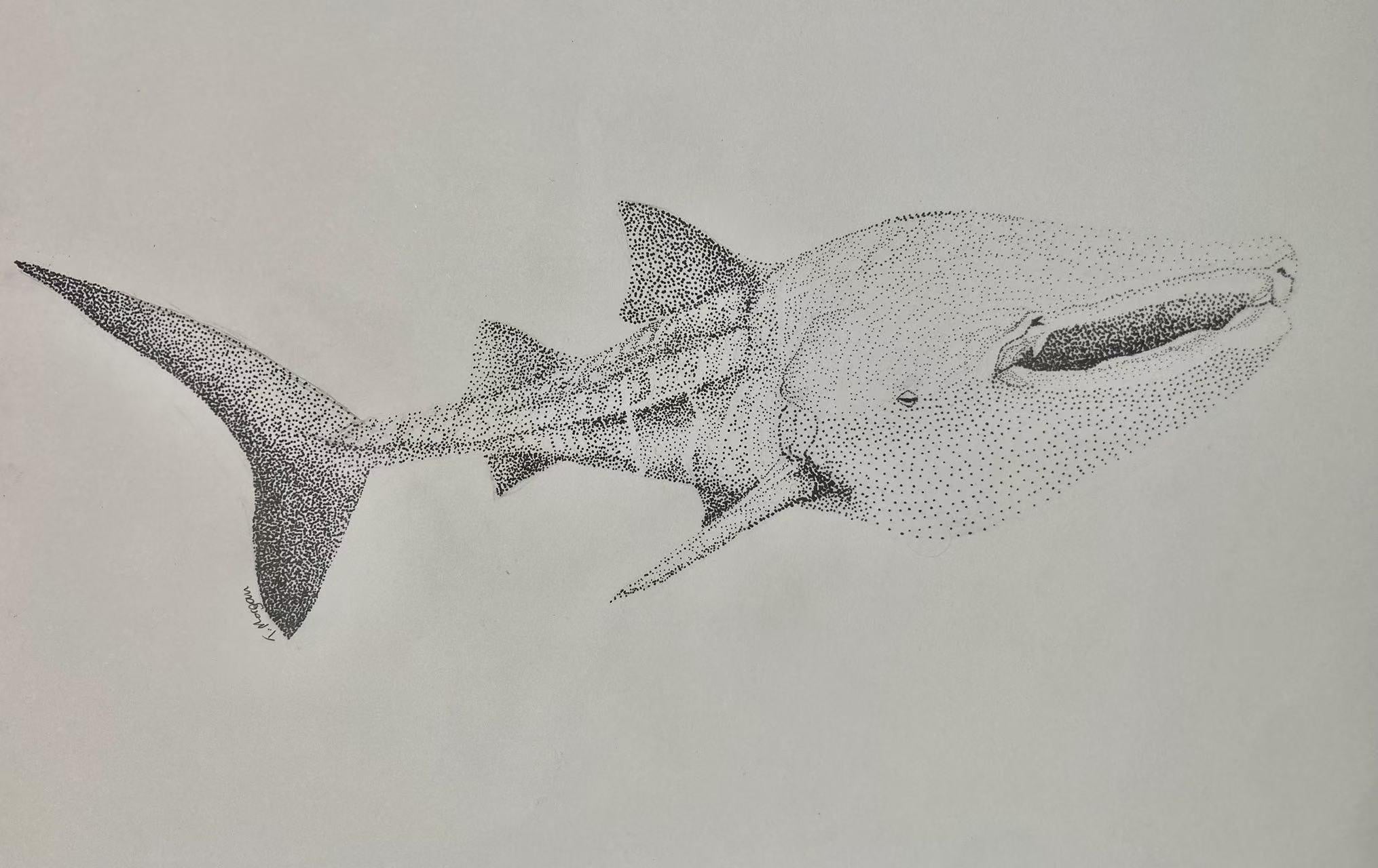 more-projects-from-class-img
