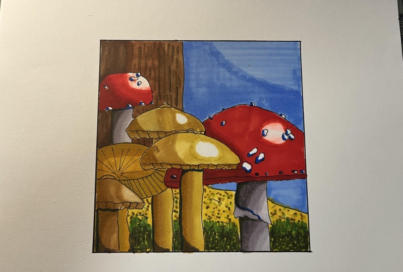 Marker Mushrooms