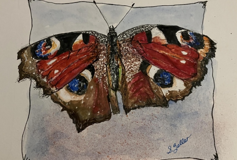 Watercolor Illustration: Whimsical Butterfly.