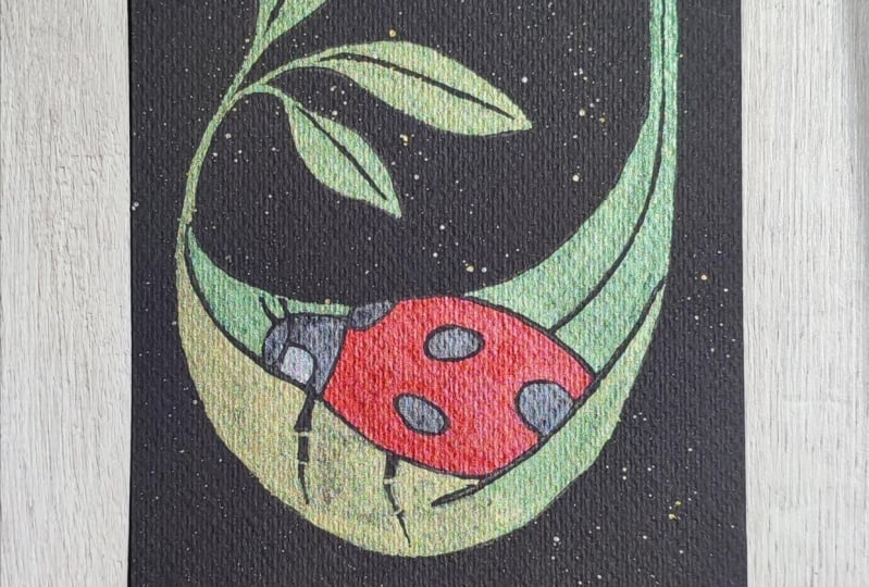 My Ladybug