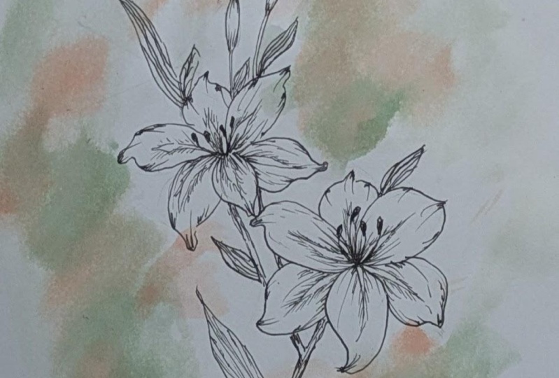 Lilies