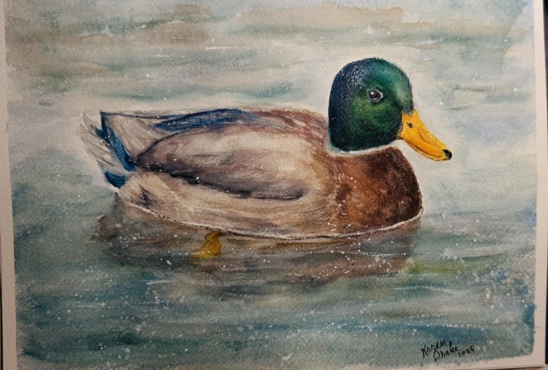 Duck