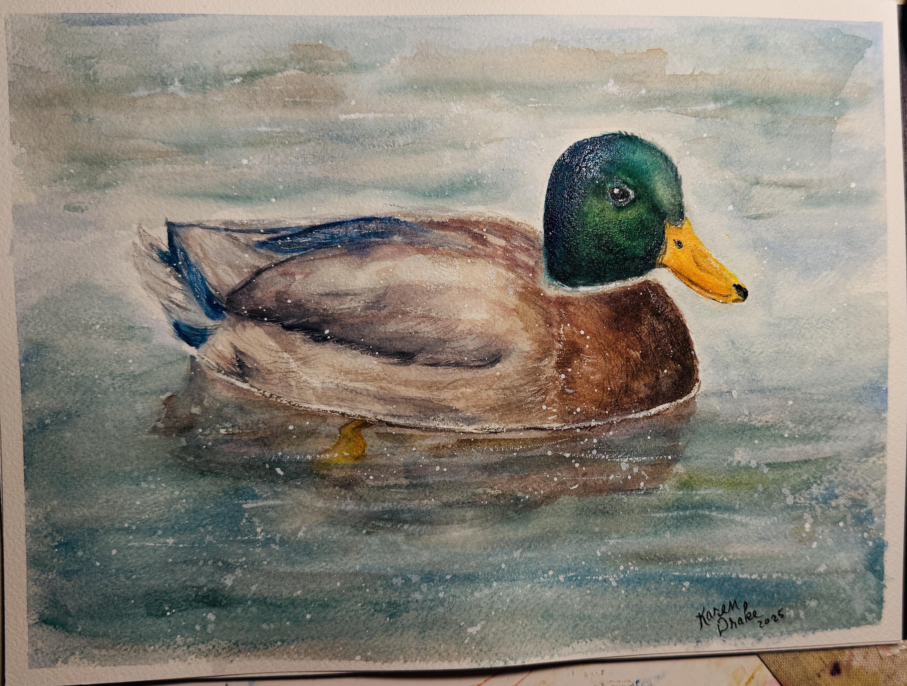 Duck - student project