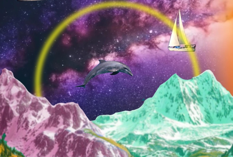 Space dolphin