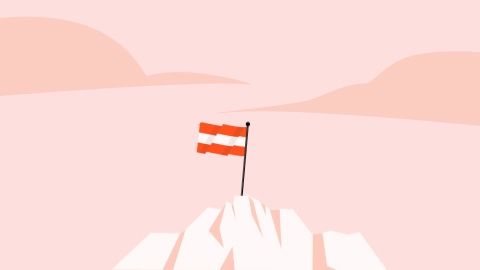 FLAG - student project