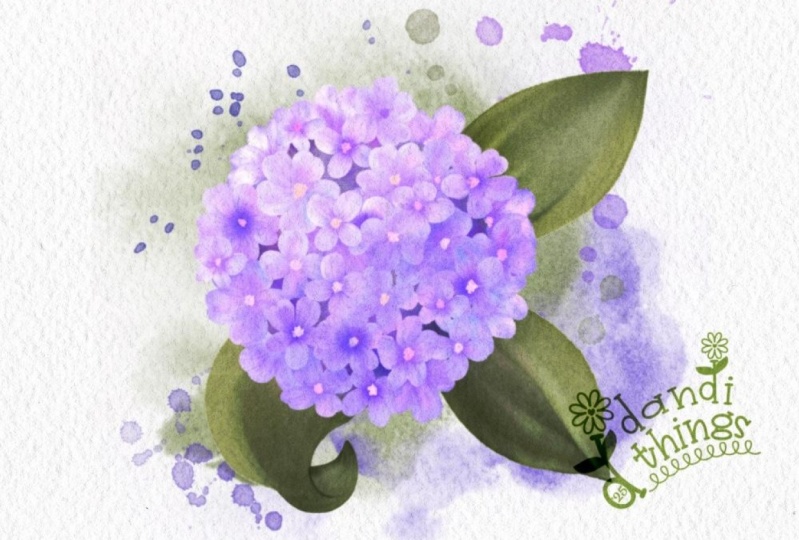Lovely Lavender Bloom