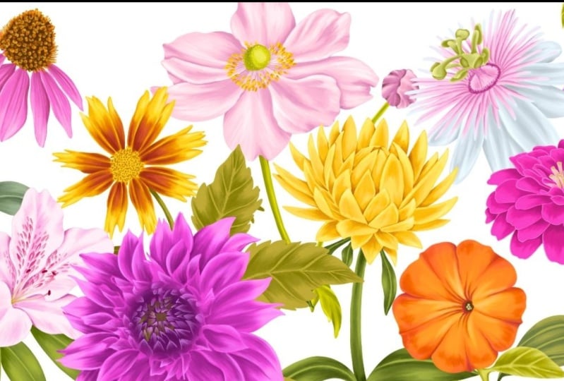 10 Day Challenge of Garden Blooms in Procreate