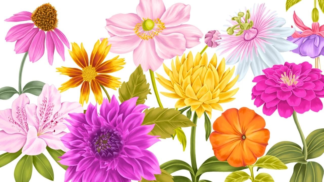 10 Day Challenge of Garden Blooms in Procreate - student project
