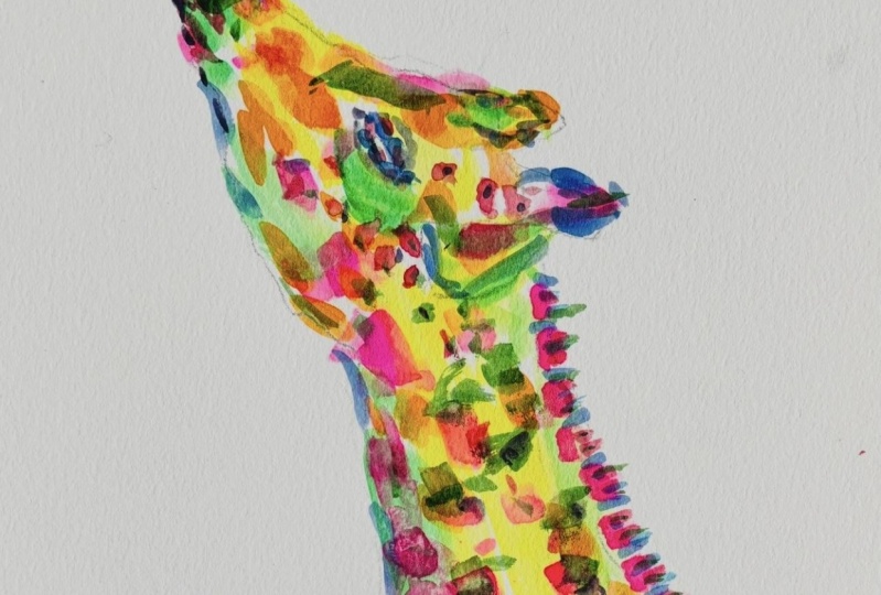 Voice of Colors