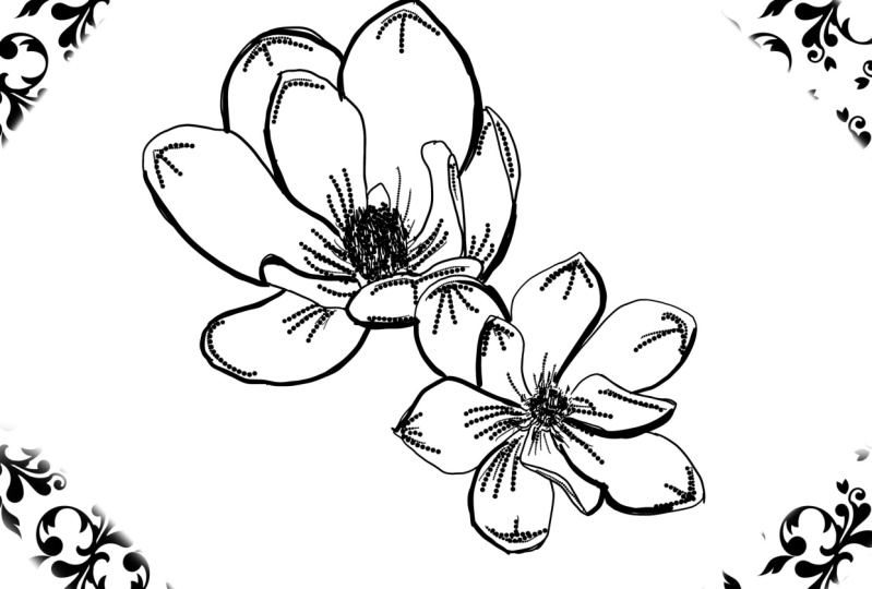 Draw and shade magnolia