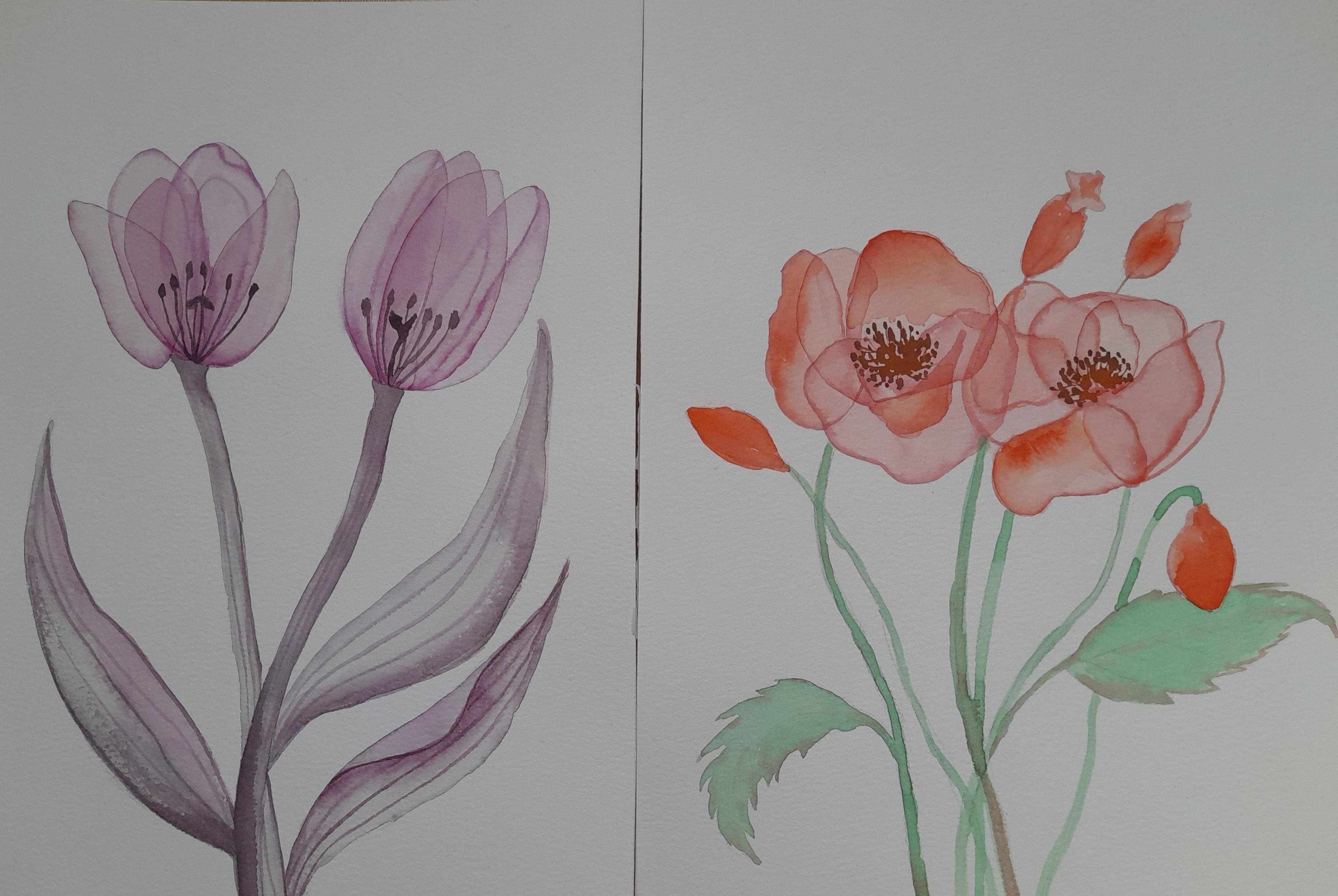 transperent flowers - student project