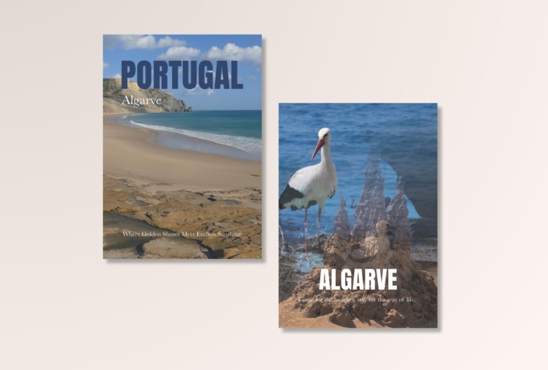 Brochure Desing in Affinity Publisher