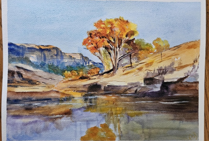 Sunlit landscapes