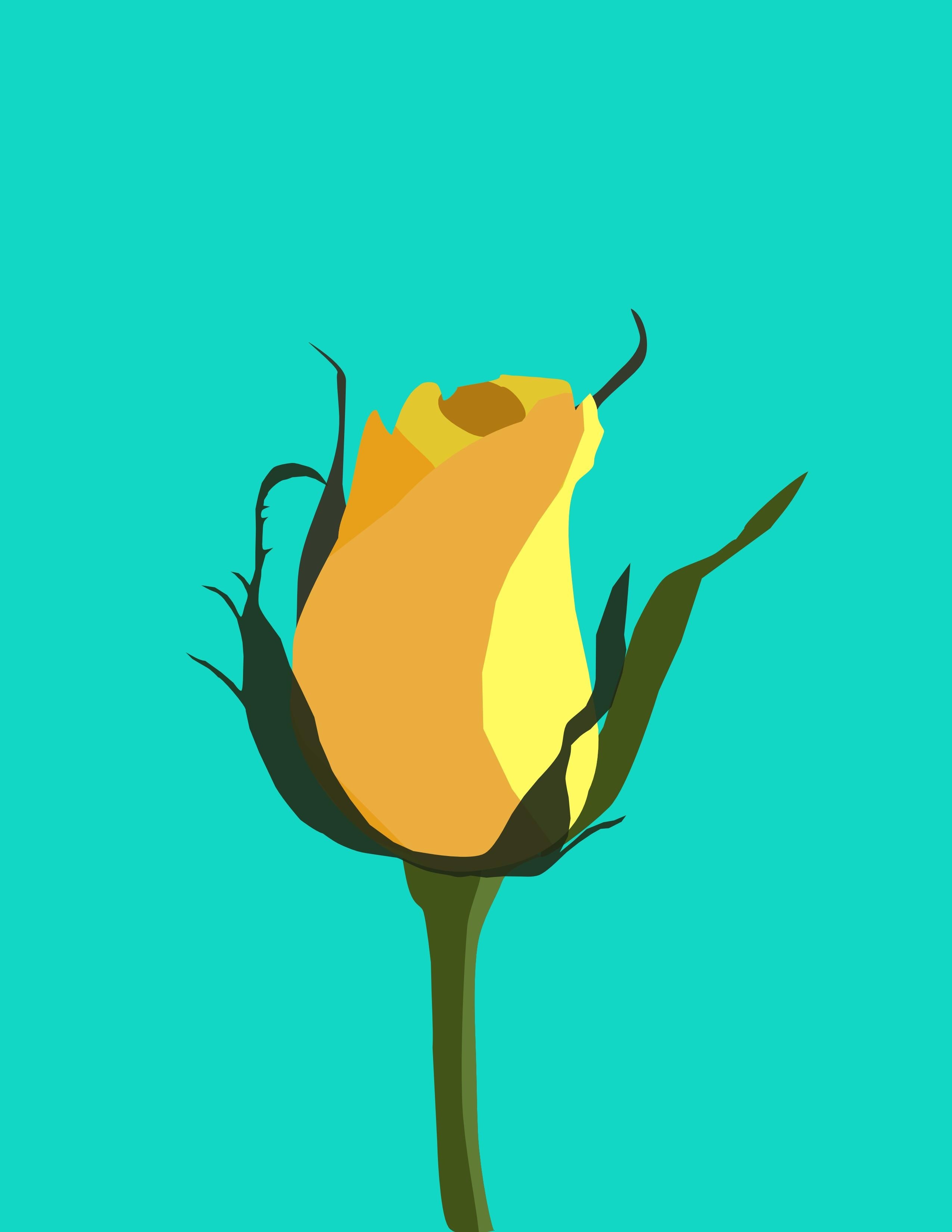 more-projects-from-class-img