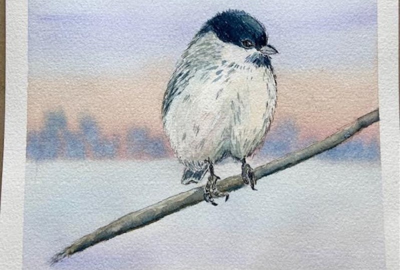 Songbird