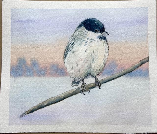 Songbird - student project