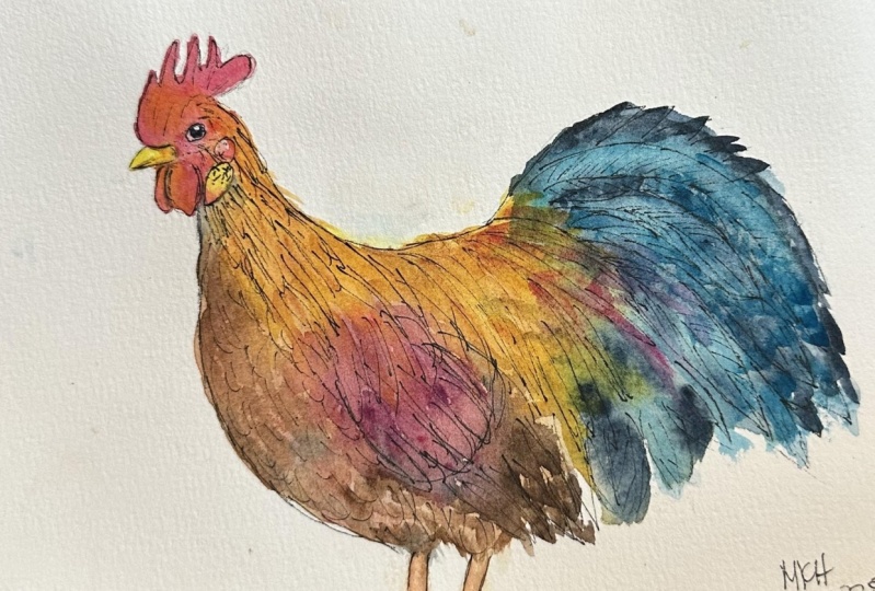 Cockerel