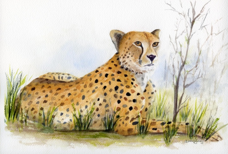 Eyes of the Savannah