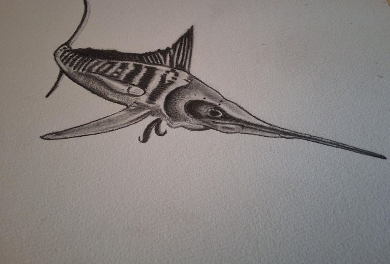 MARLIN