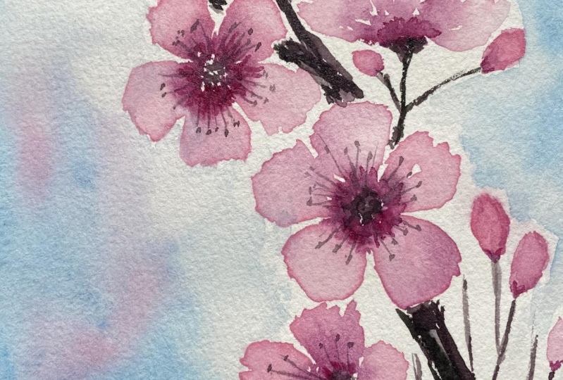 Cherry blossom project