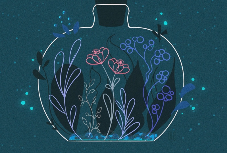 Star Garden