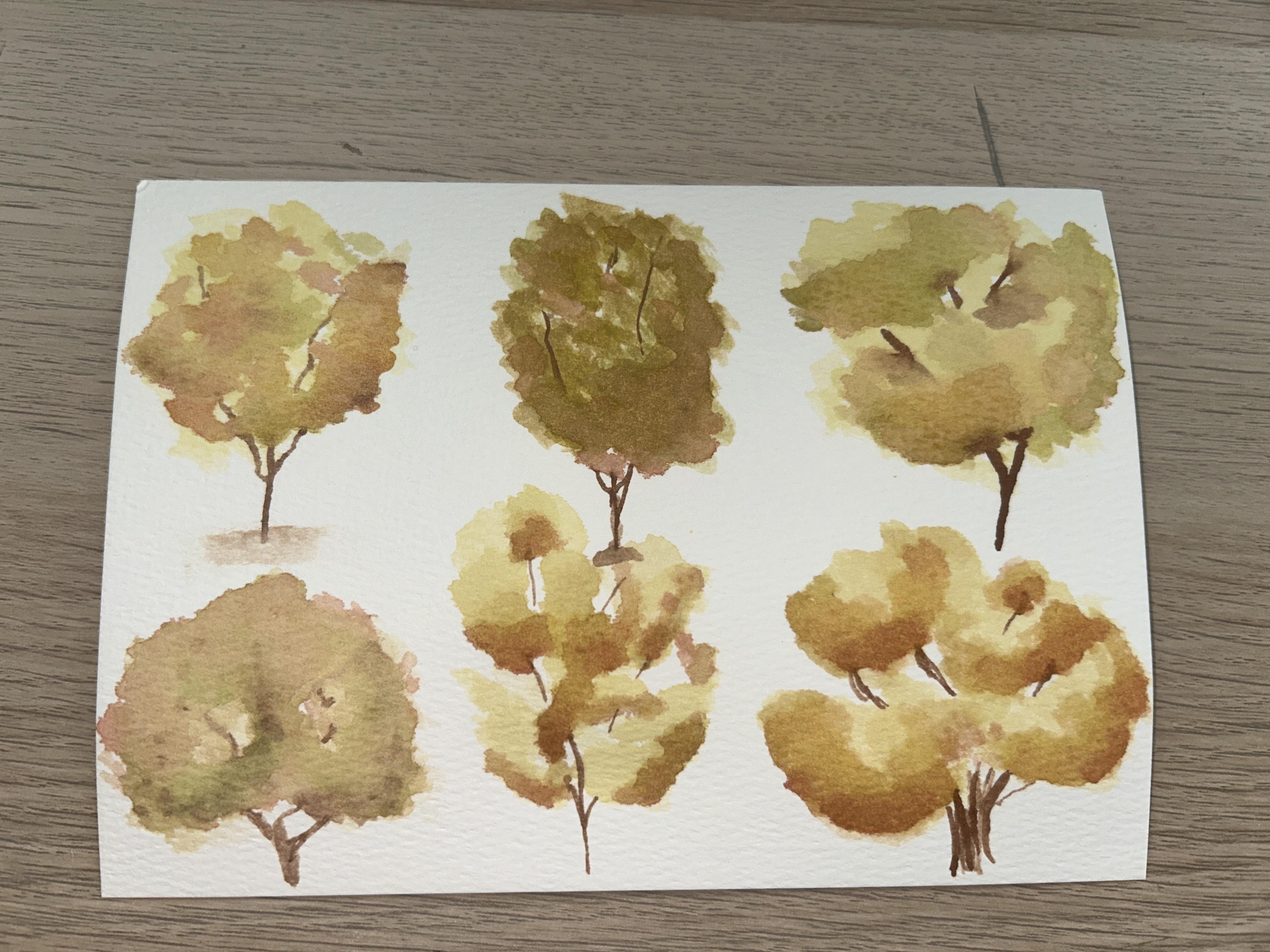 Class project - student project