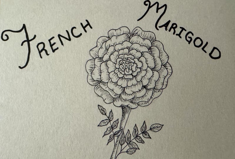 French Marigold