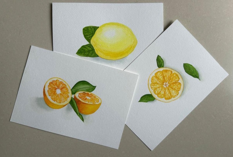 Realistic citrus fruits in watercolor