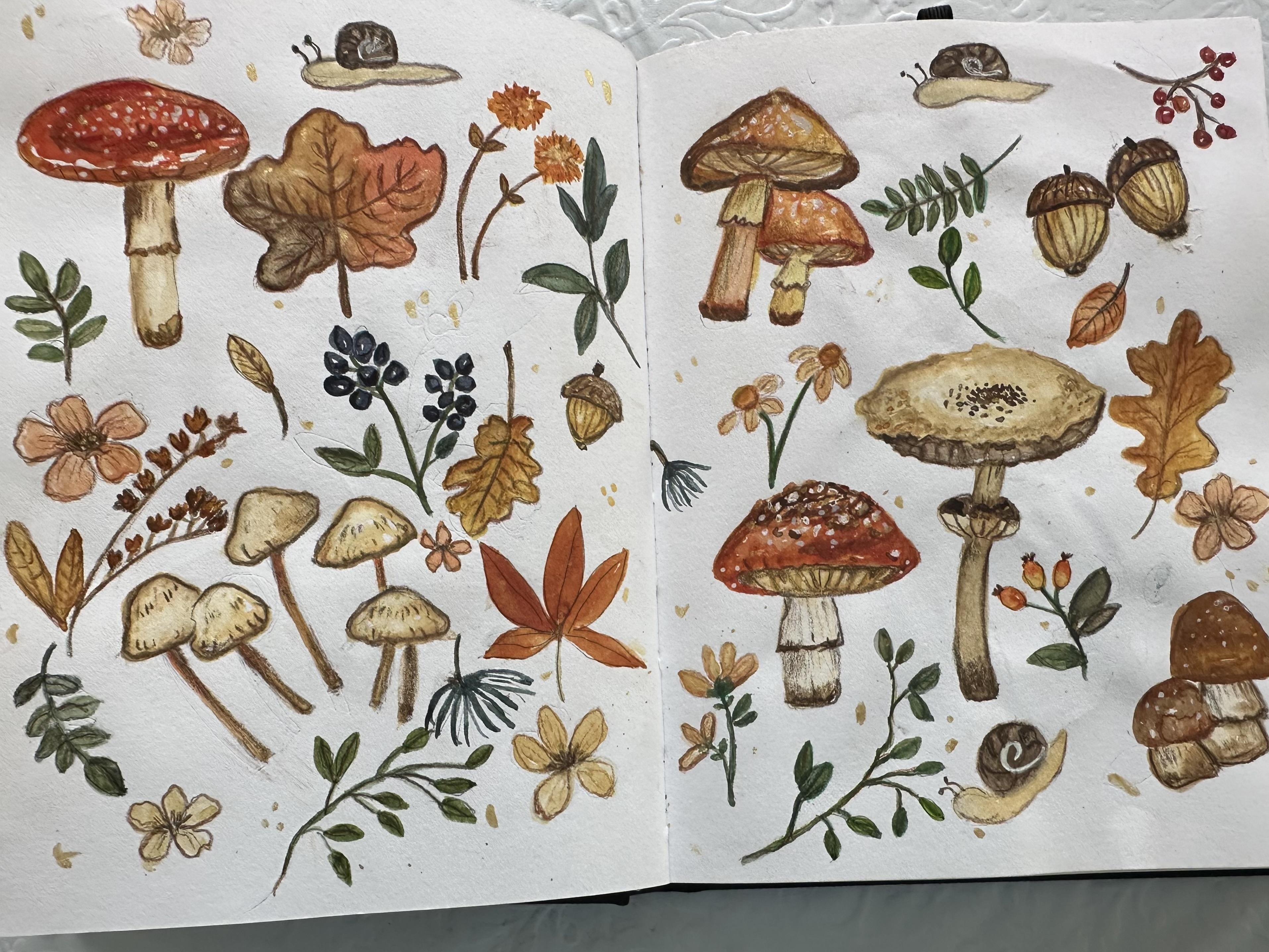 Autumn Doodle - student project