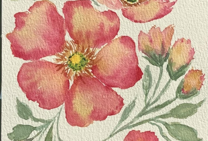 Floral watercolor challenge