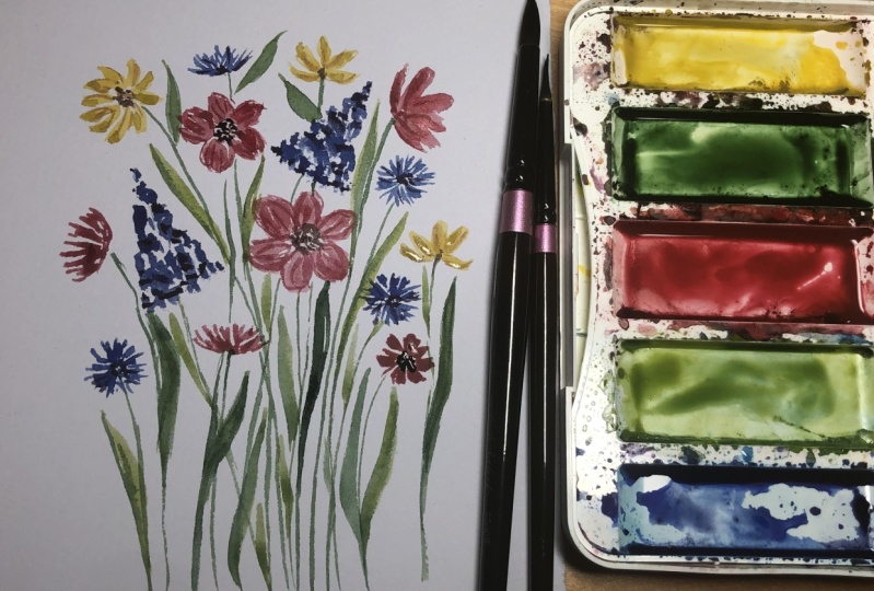 Meadow Wildflowers