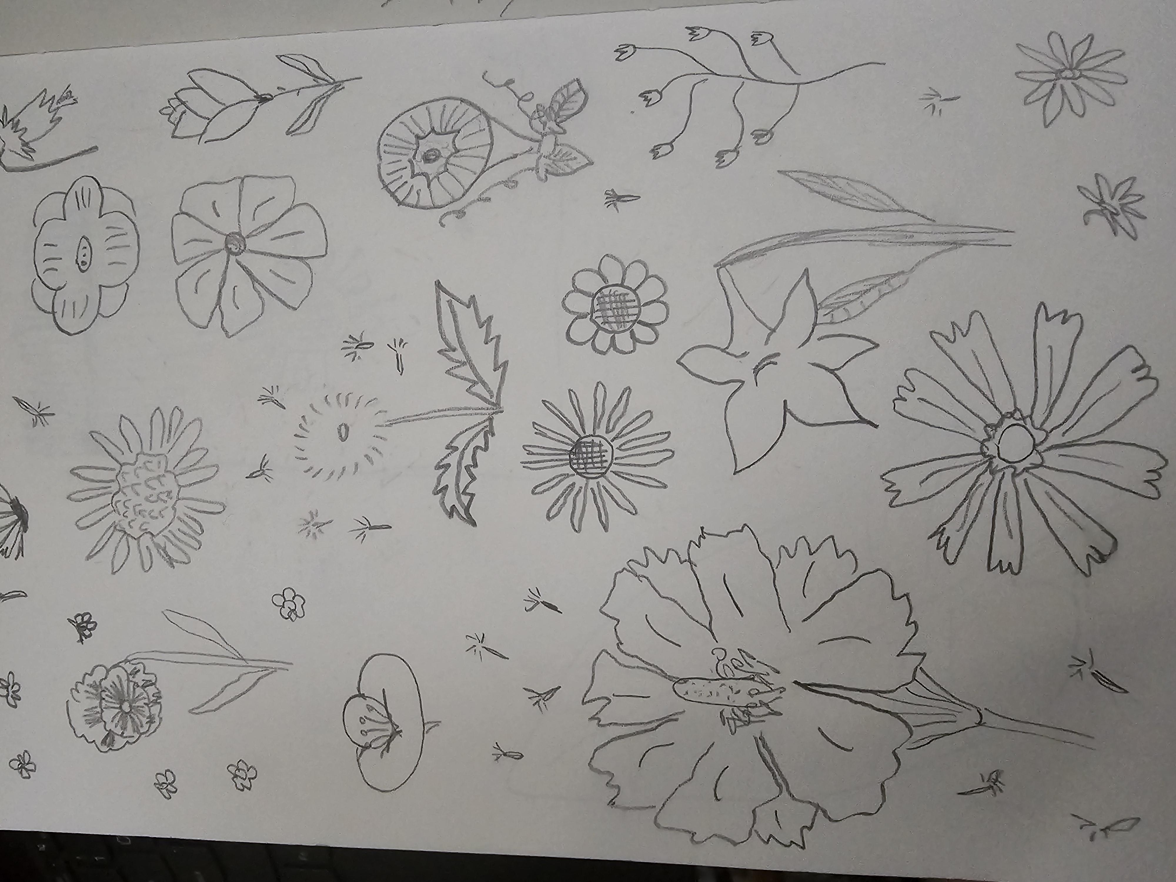 more-projects-from-class-img